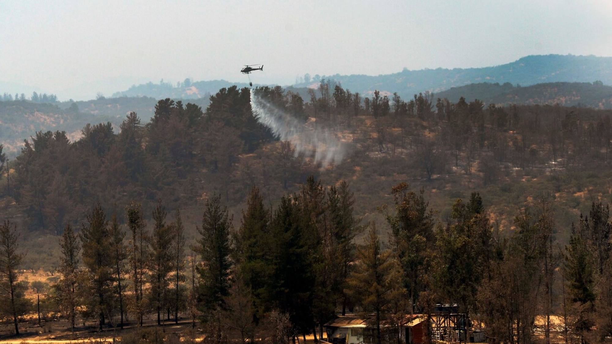 Onemi Declara Alerta Roja En Ovalle Tras Descontrol De Incendio