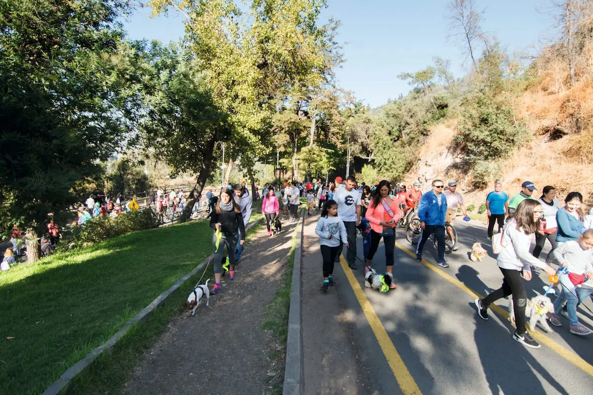 whatsapp_image_2022-04-22_at_4_49_01_pm.jpeg, 