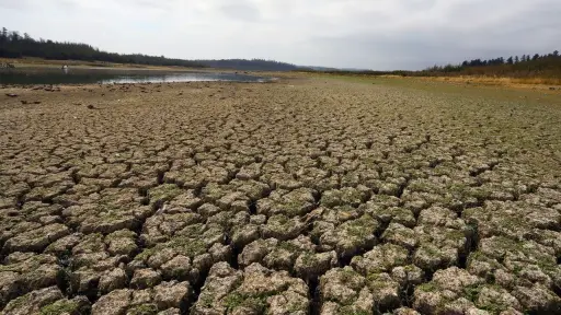 Debido a la sequía del país, el gobierno ha informado nuevas medidas de emergencia. (FOTO: Agencia Uno)., Agencia Uno