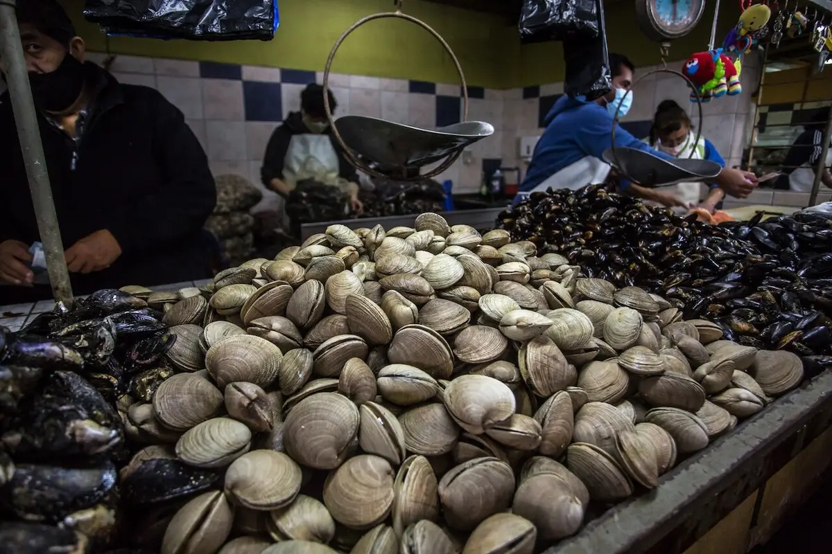 almejas.jpg, Llaman a exigir certificado de la Seremi para comer almejas sanas en esta Semana Santa. Foto: Agencia Uno.