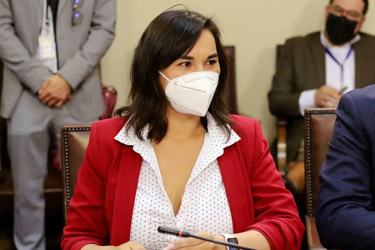 Izkia Siches se presentó ayer en la comisión de la Cámara de Diputados, Agencia Uno