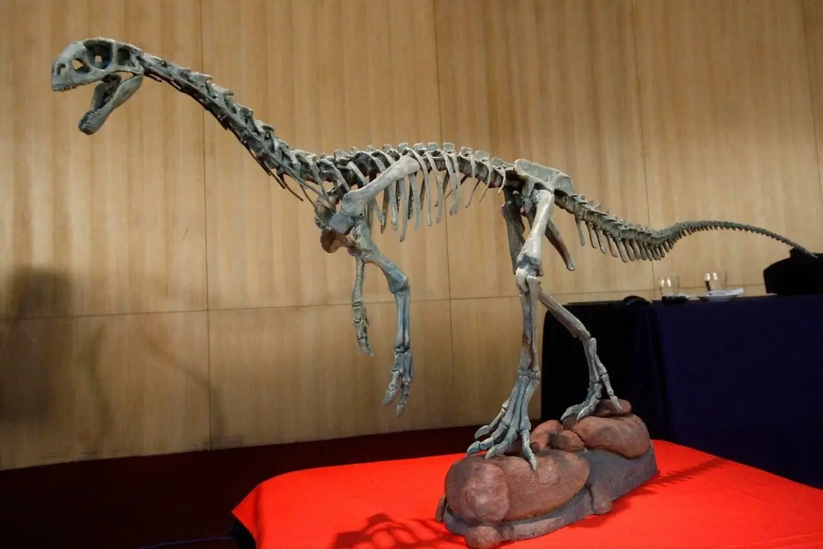 a_uno_517808.jpg, Agencia Uno