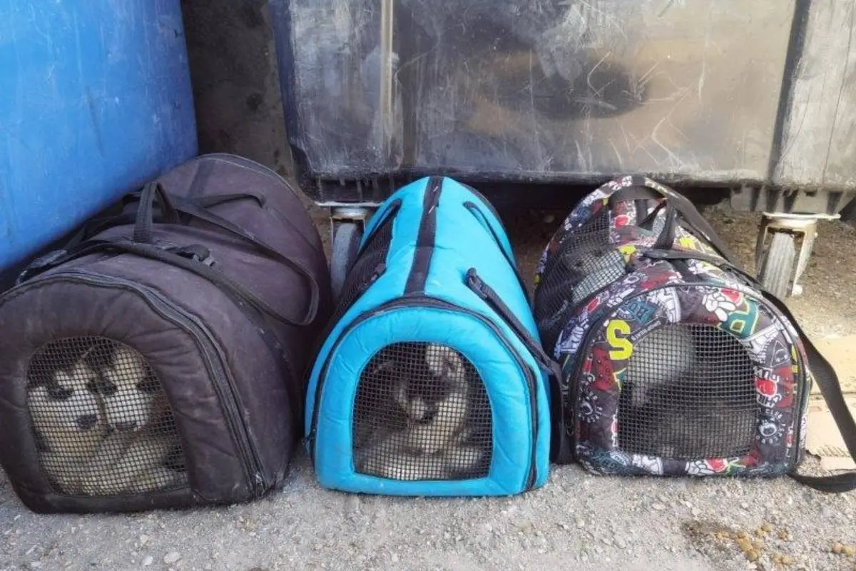 whatsapp_image_2022-04-13_at_3_38_40_pm.jpg,