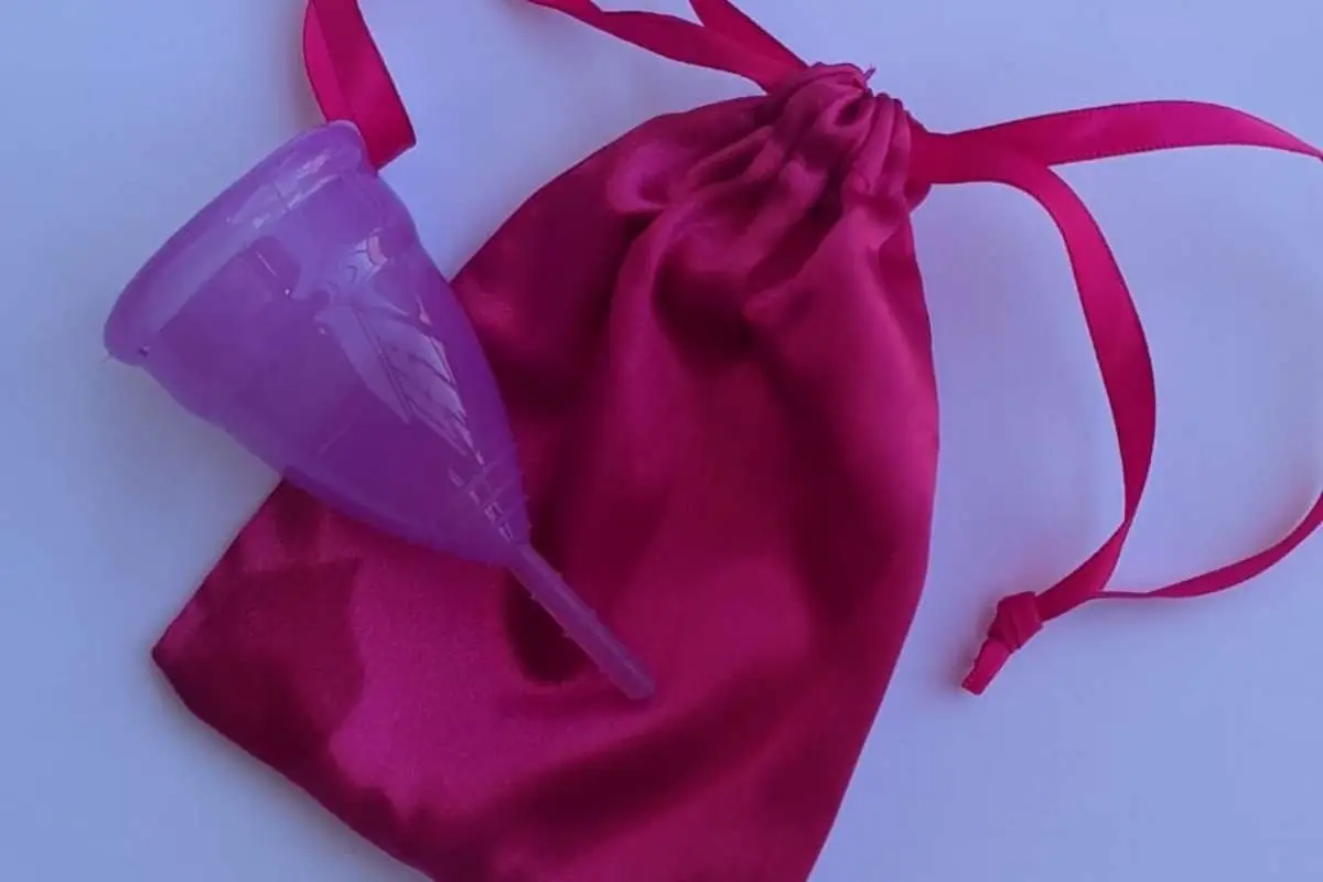 whatsapp_image_2022-04-14_at_11_26_10_am.jpg, 