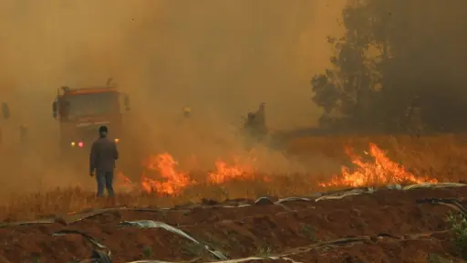 Cambio climático provoca incendios forestales en Chile, Agencia Uno