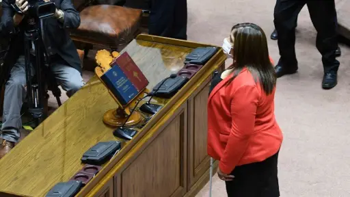 fabi-1.jpg, Campillai juró como la primera senadora con discapacidad visual. Foto: Agencia Uno