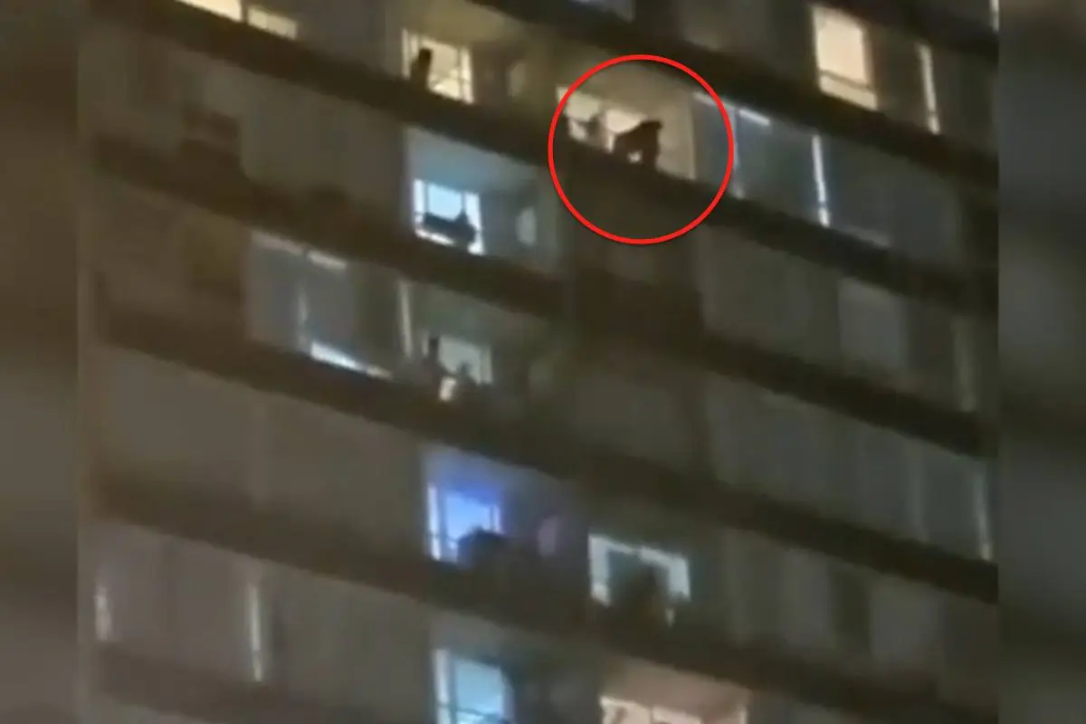 captura_de_pantalla_2022-03-15_a_las_9_25_00_a_m_.png, 