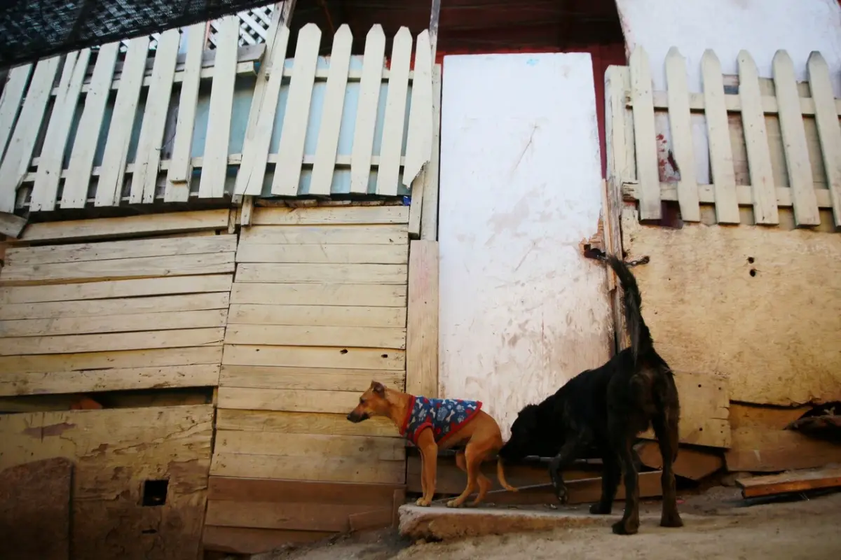 a_uno_1285532.jpg, Agencia Uno