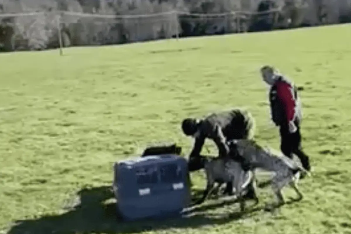 captura_de_pantalla_2022-06-07_a_laxsx_15_00_44.png, 