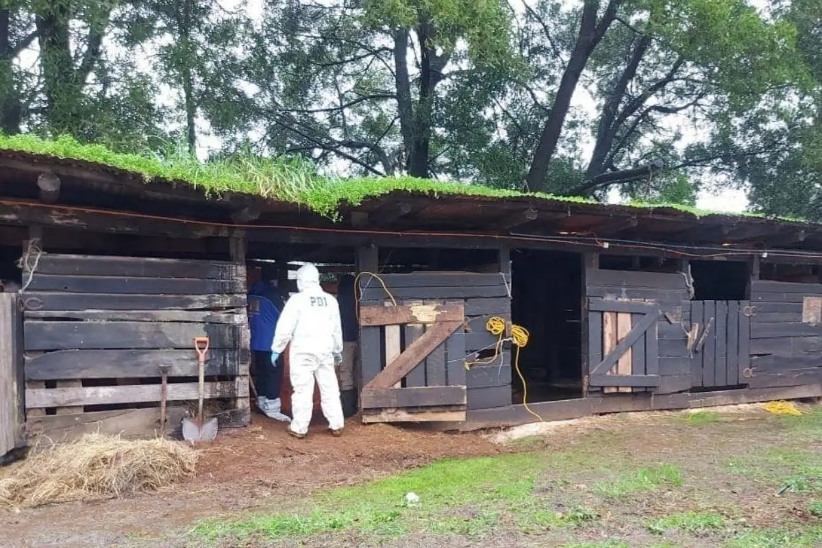 barra_colo_colo_x63x.jpg,