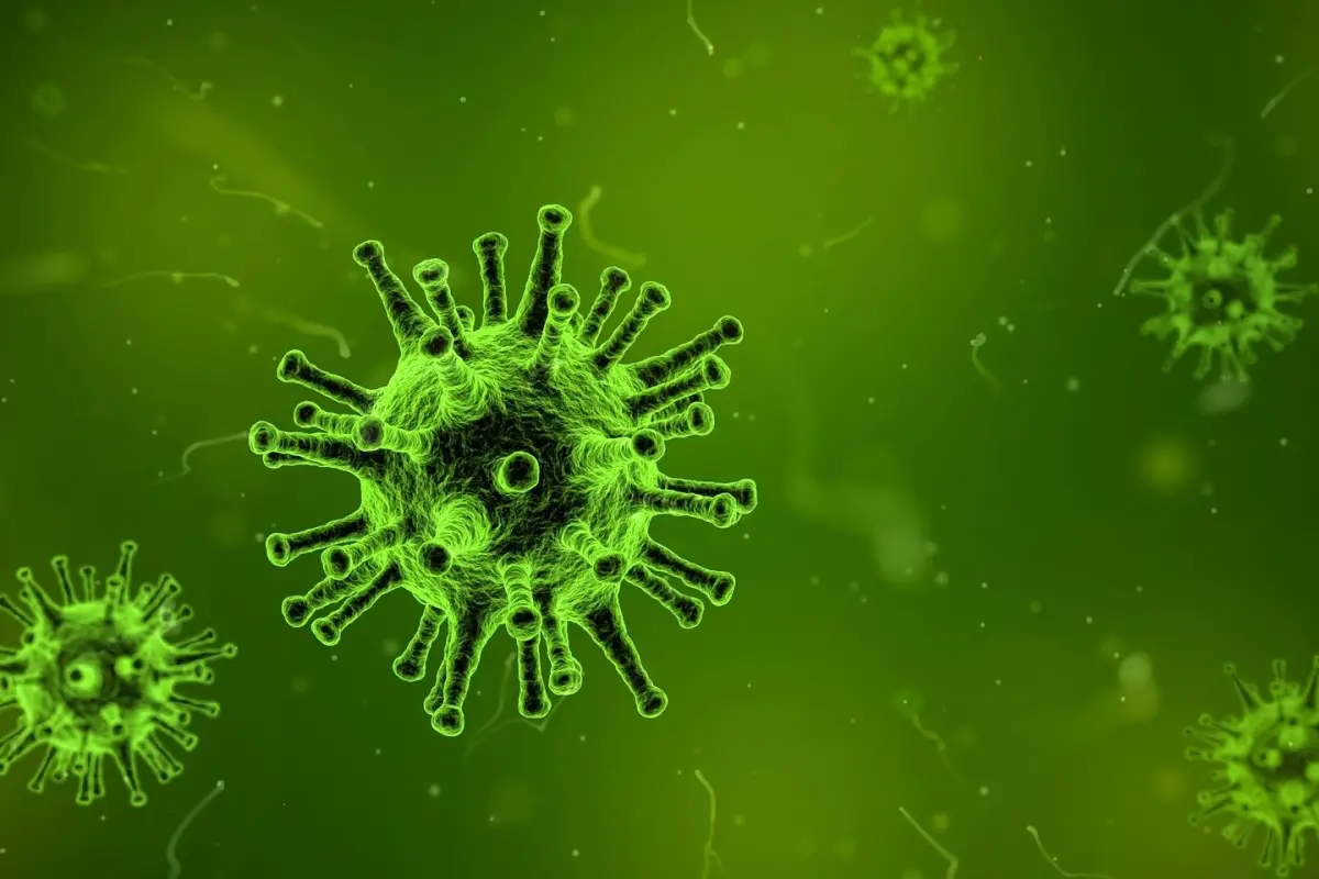 virus-g76d0056e0_1920.jpg, Posible nueva enfermedad  fue reportada en distintos países europeos. Foto: Agencia Uno.