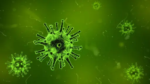 virus-g76d0056e0_1920.jpg, Posible nueva enfermedad  fue reportada en distintos países europeos. Foto: Agencia Uno.