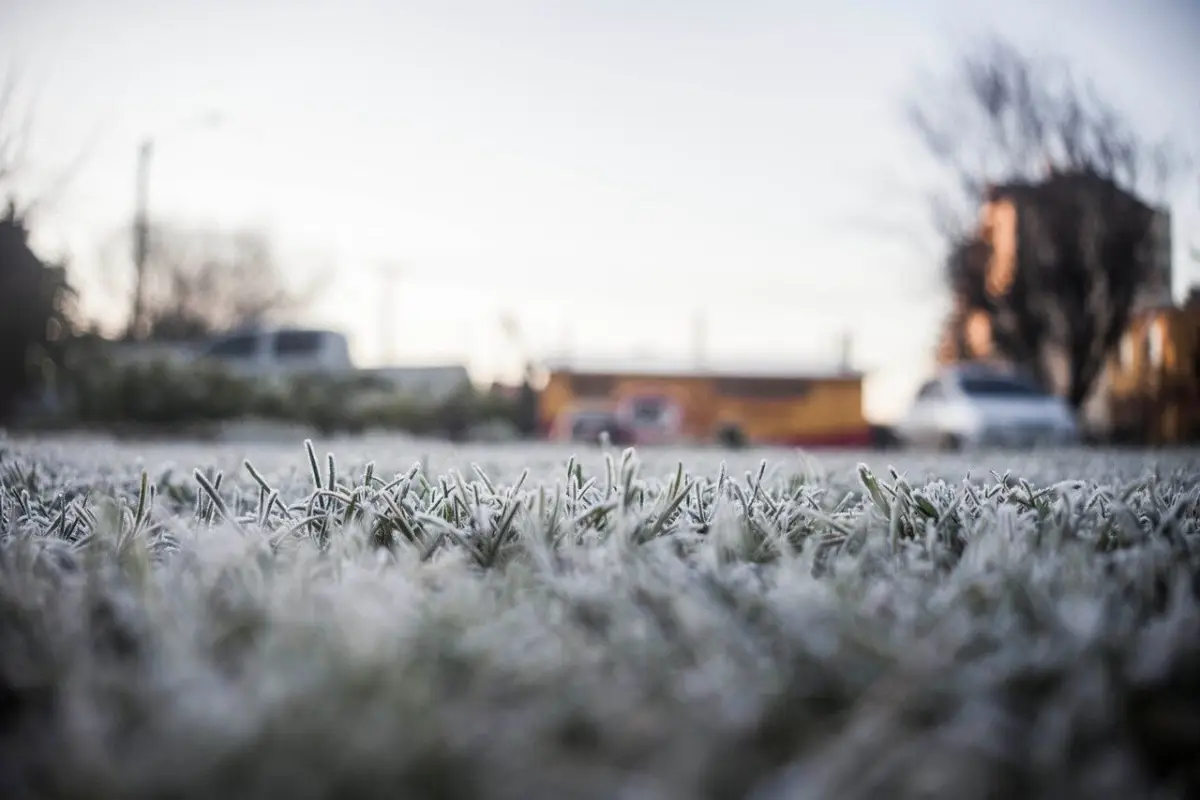 Onemi hizo un llamado a conductores a tener cuidado en las rutas: Foto: Agencia Uno., Agencia Uno