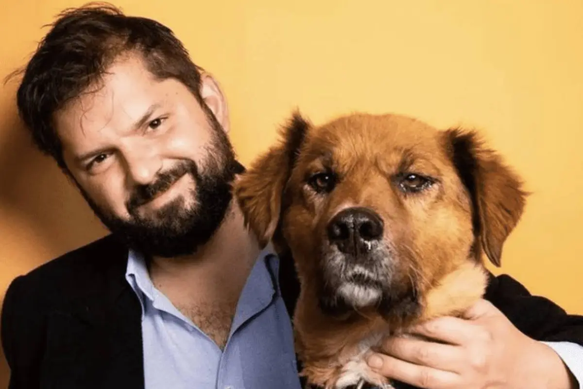 captura_de_pantalla_2022-06-01_a_laxsx_09_35_08.png, 