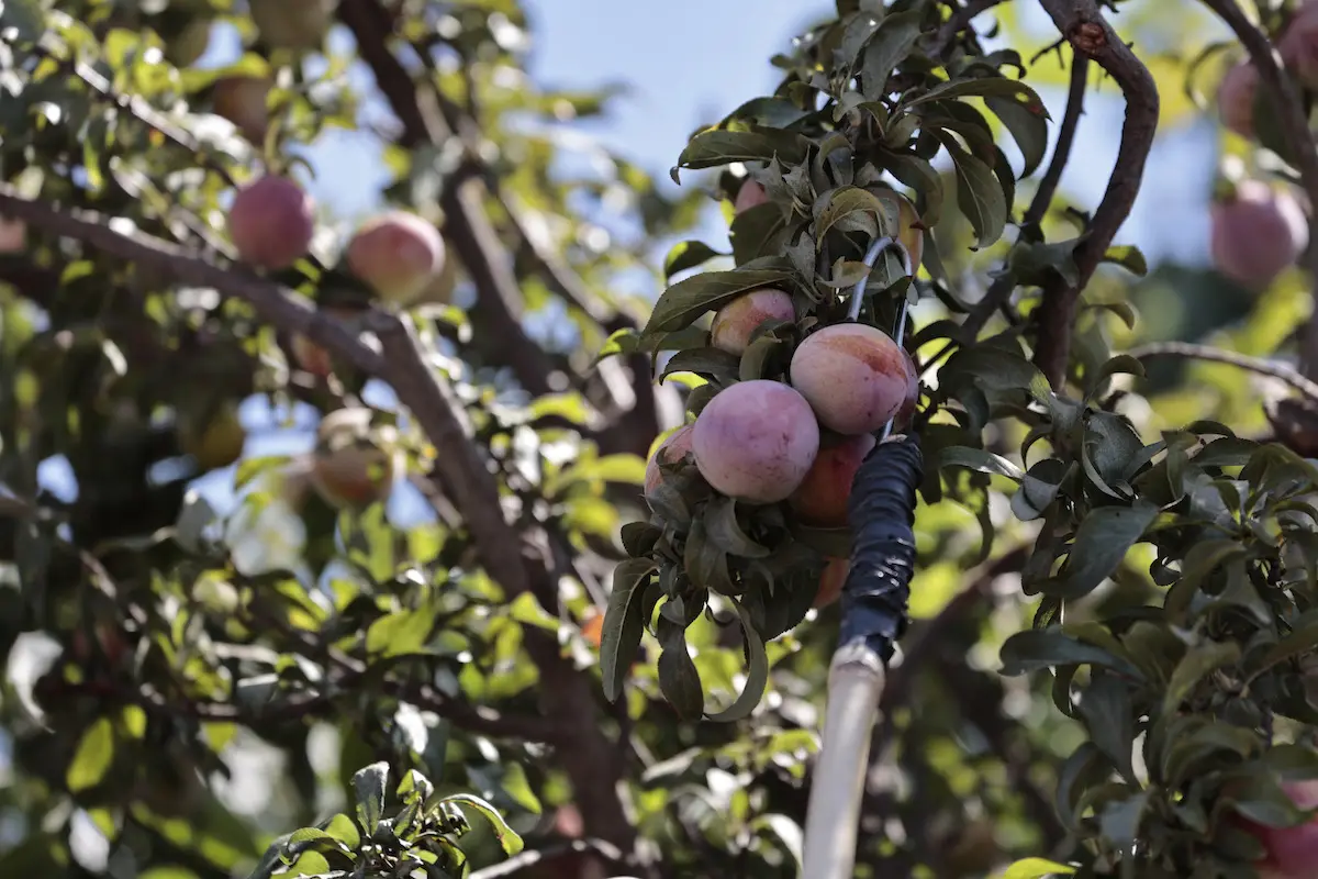 a_uno_1346291.jpg, Agencia Uno