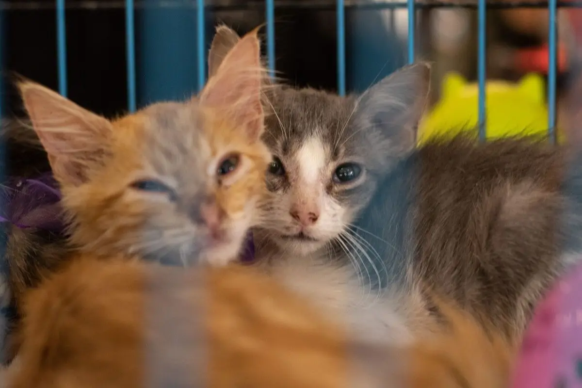 a_uno_1343892.jpg, Agencia Uno