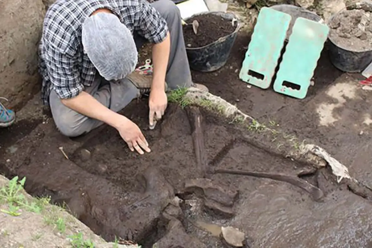 2qvbpyok3vcajeefcwwd2dok6q.jpg, 