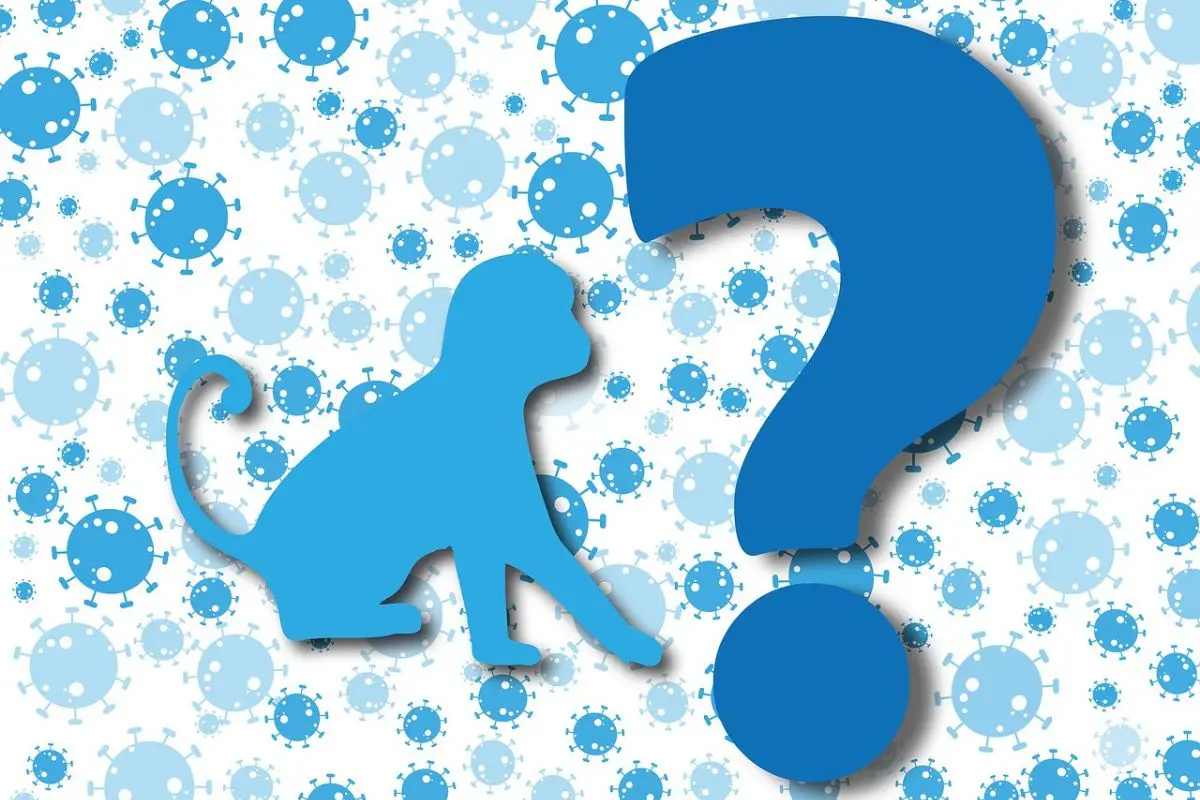 sin_txtulo_x1200x800xpxx_-_2022-06-17t170041_947.jpg, 