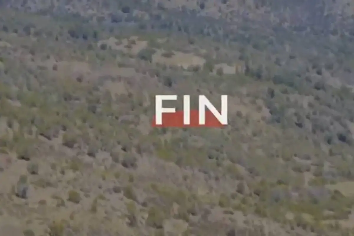 whatsapp_image_2022-06-22_at_4_27_06_pm.jpg, 