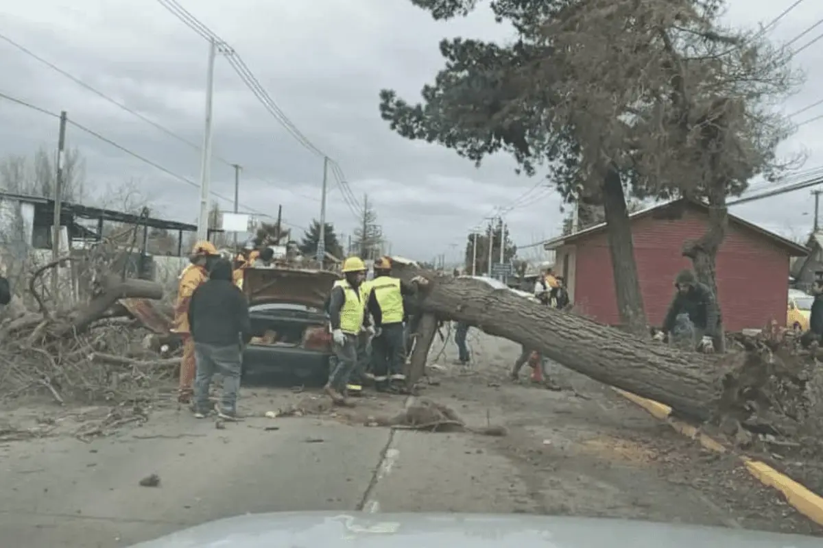 captura_de_pantalla_2022-06-24_a_laxsx_08_26_52.png, 