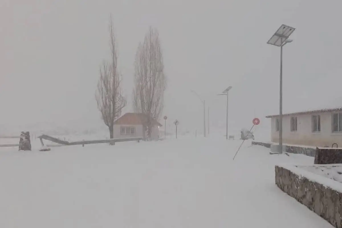 photo-2022-07-01-09-31-50-1.jpg, 