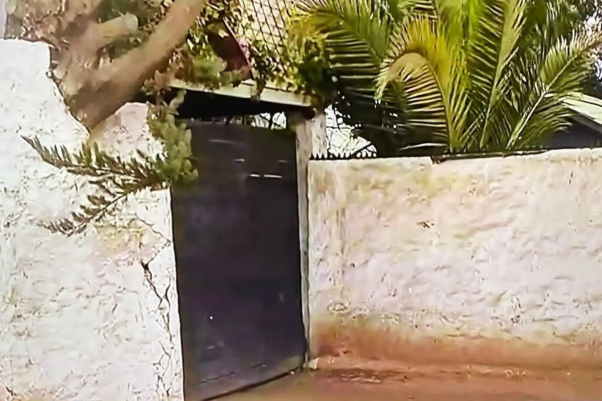 barra_colo_colo_x73x.jpg, 