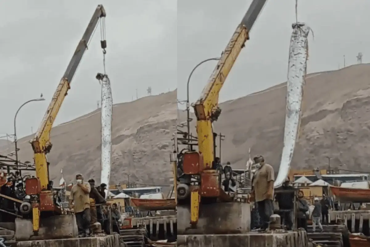 captura_de_pantalla_2022-07-11_a_las_13_55_53.png, 