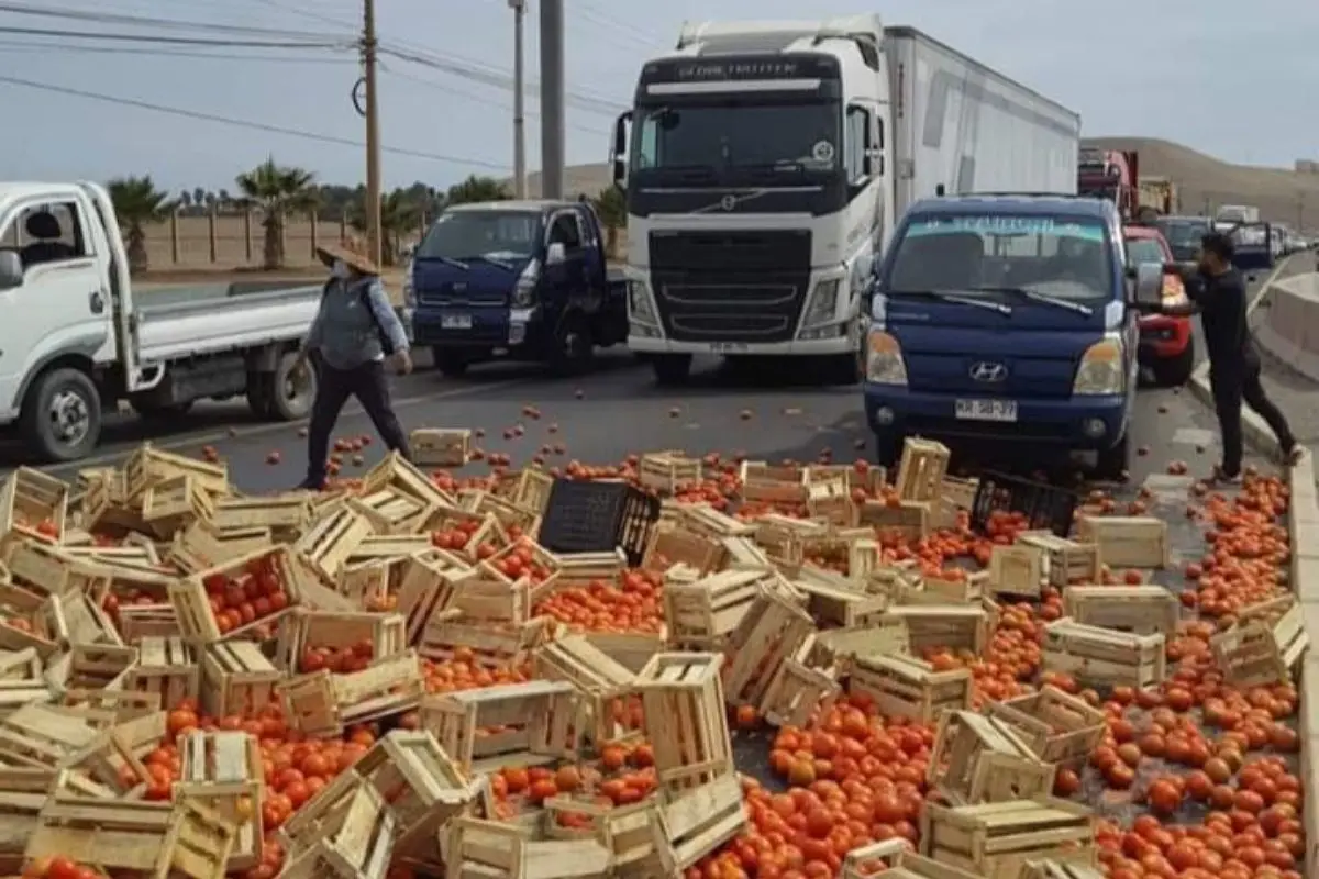 barra_colo_colo_x96x-1.jpg, 