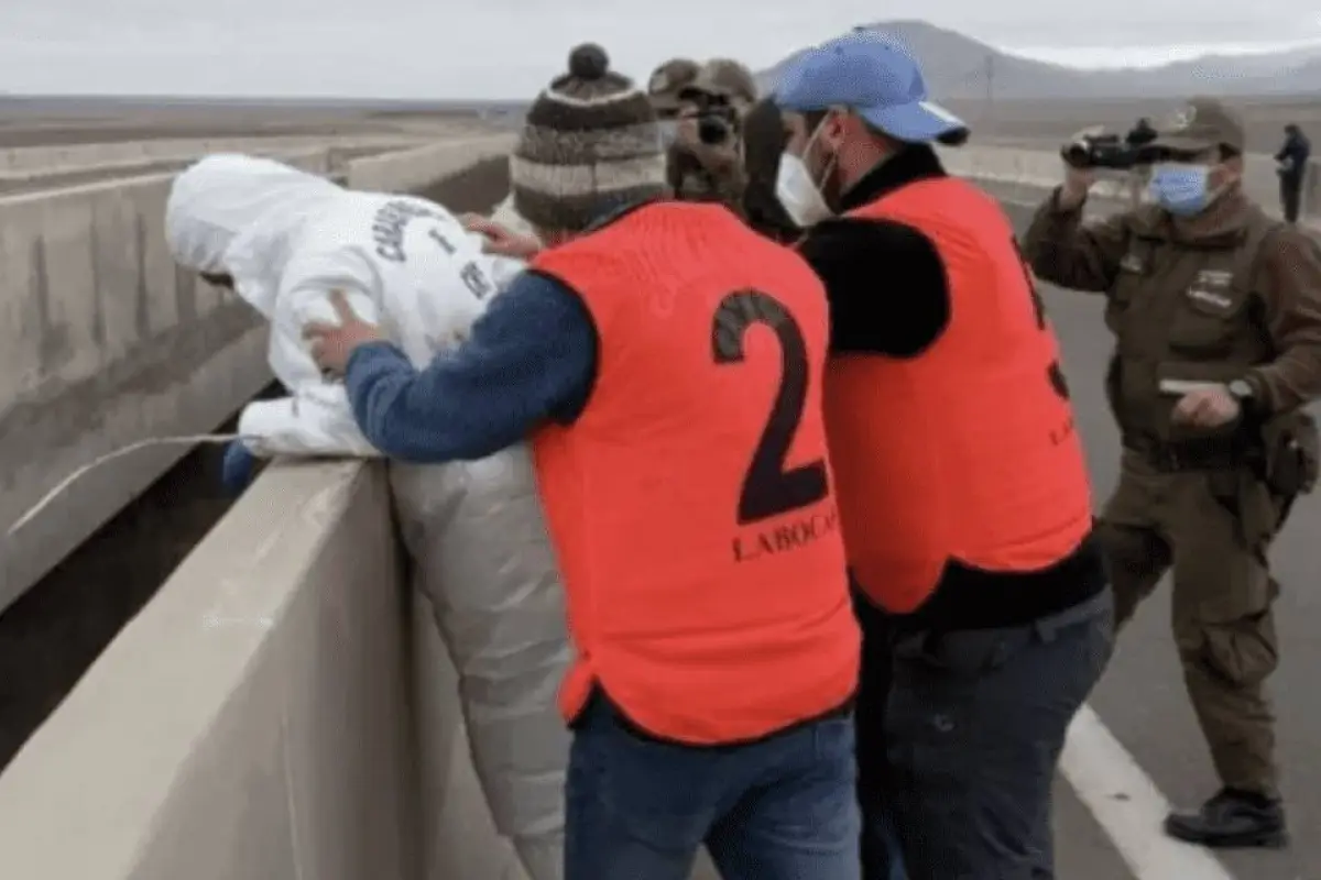 captura_de_pantalla_2022-07-14_a_laxsx_11_40_15.png, 