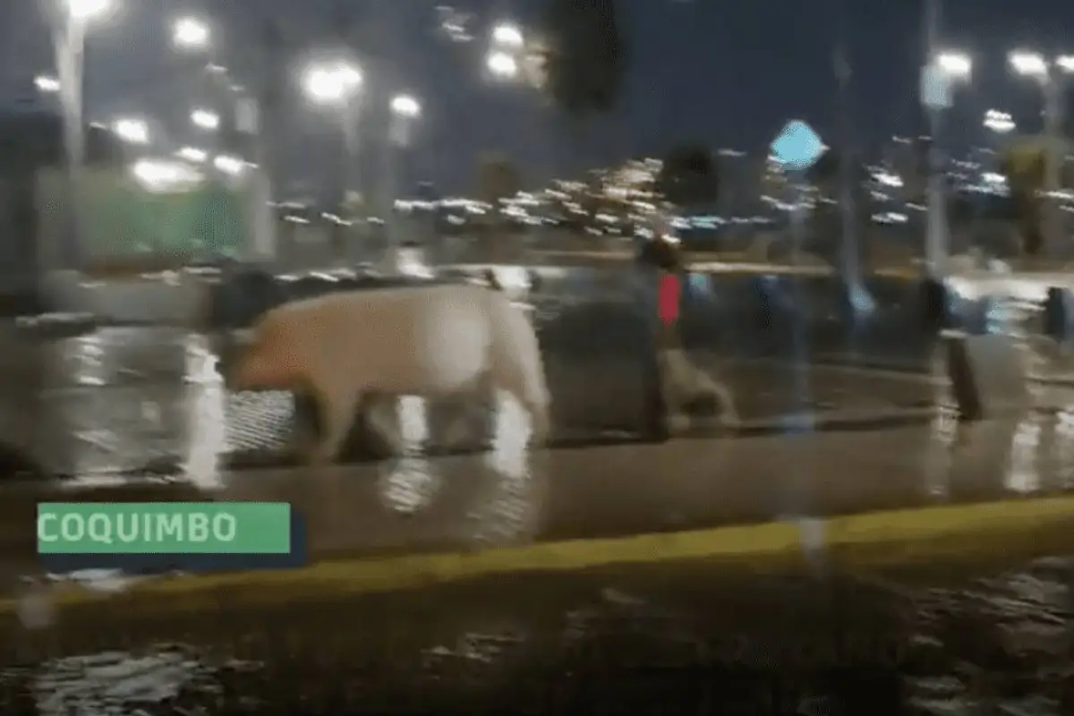 captura_de_pantalla_2022-07-15_a_laxsx_15_02_48.png, 