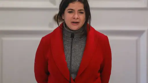 Antonia Orellana Ministra de la Mujer