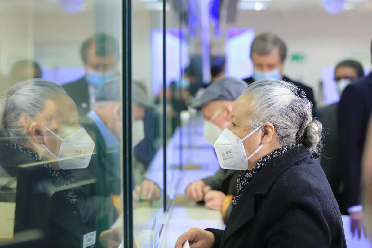 pensión garantizada universal