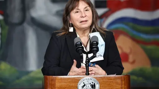 Jeanette Vega, ex ministra de Desarrollo Social