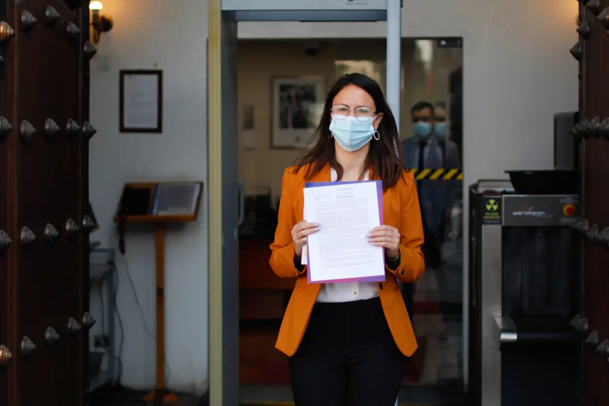 proceso constitucional