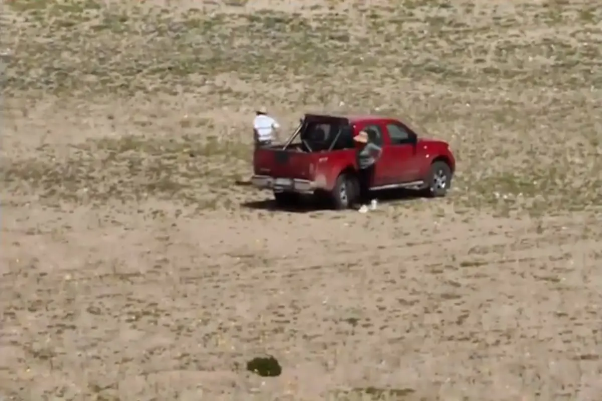 desierto florido