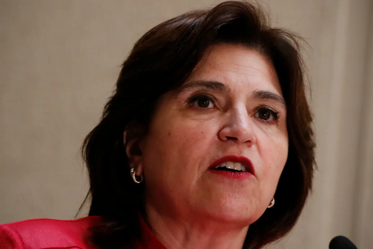 proceso constitucional