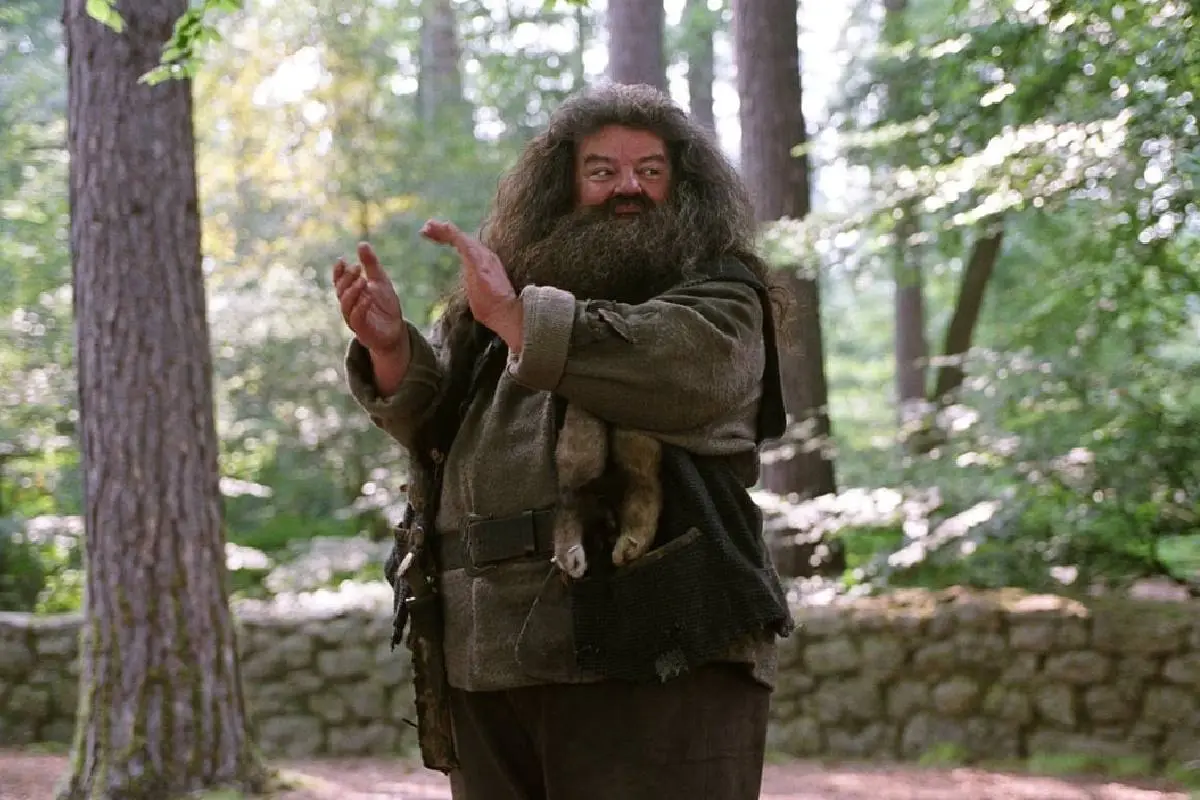 Fallece Robbie Coltrane actor de hagrid en harry potter