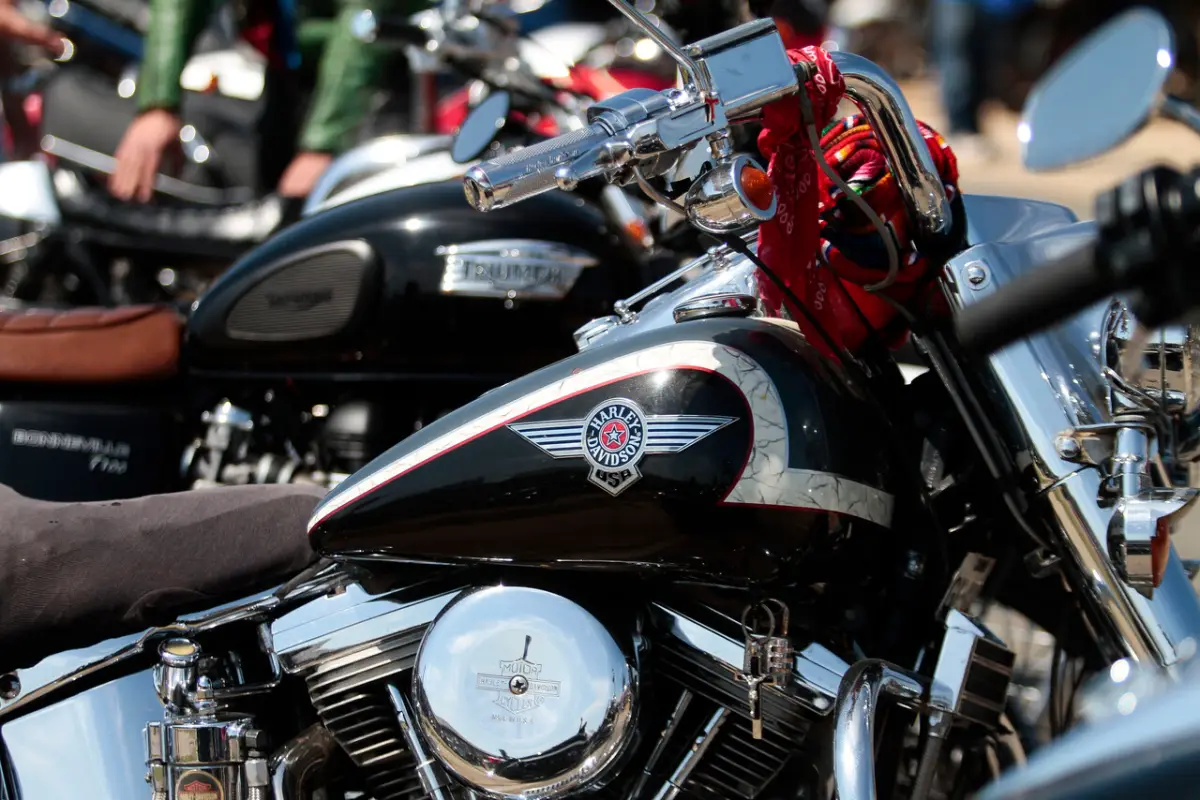 carreras clandestinas