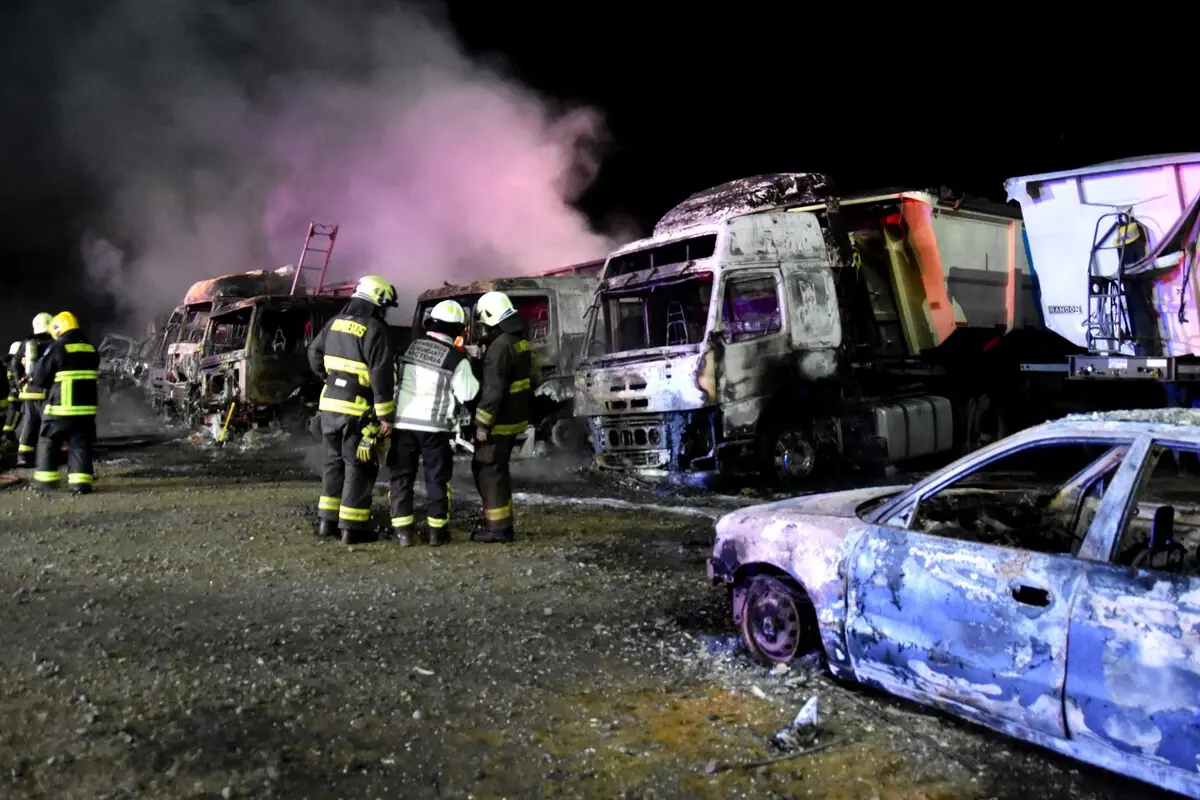 encapuchados protagonizaron ataque incendiario a forestal