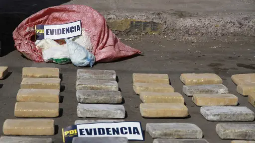 Hijo de general de carabineros fue detenido junto a traficantes colombianos