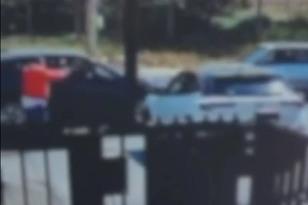 San Bernardo portonazo