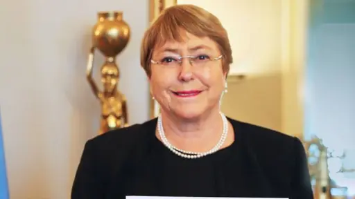 Michelle Bachelet, Redes sociales 