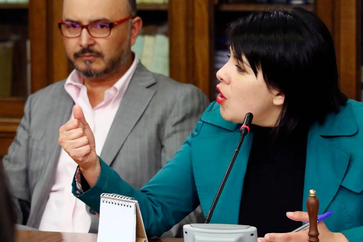 Karol Cariola quedó indignada por ofensivo meme en redes sociales, 