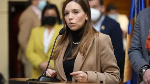 Camila Flores, Agencia Uno 