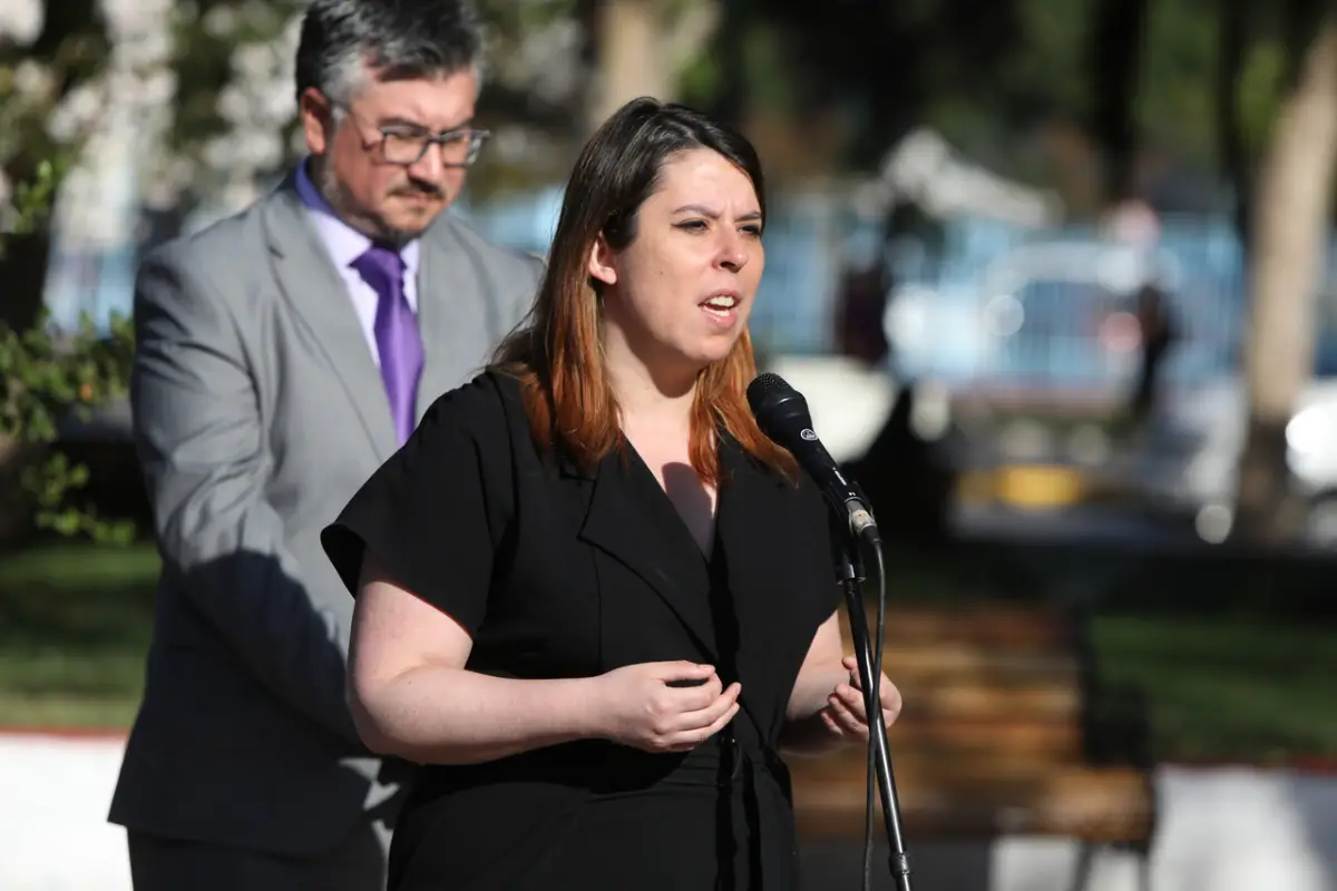 Delegada presidencial