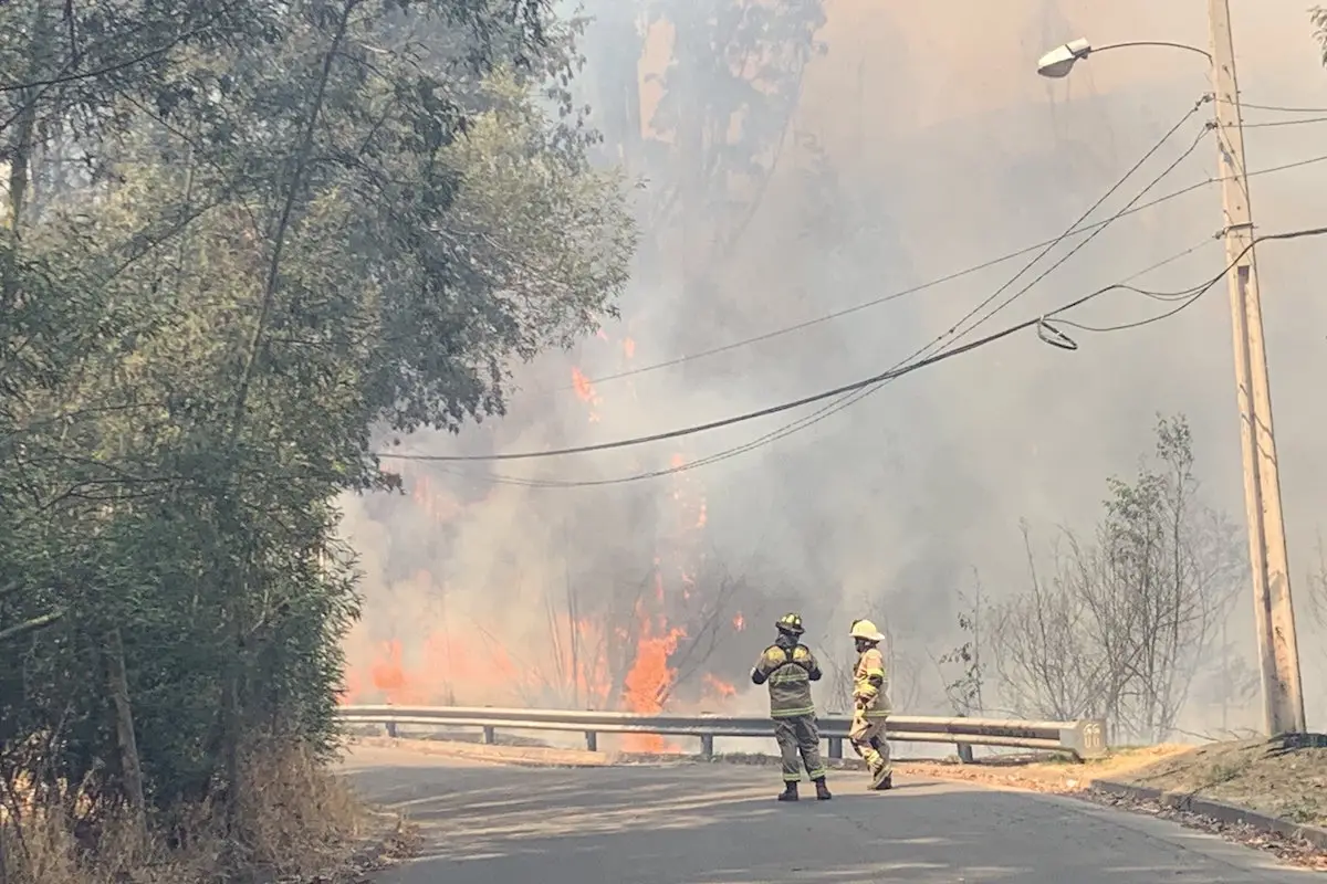 Jardín Botánico incendio