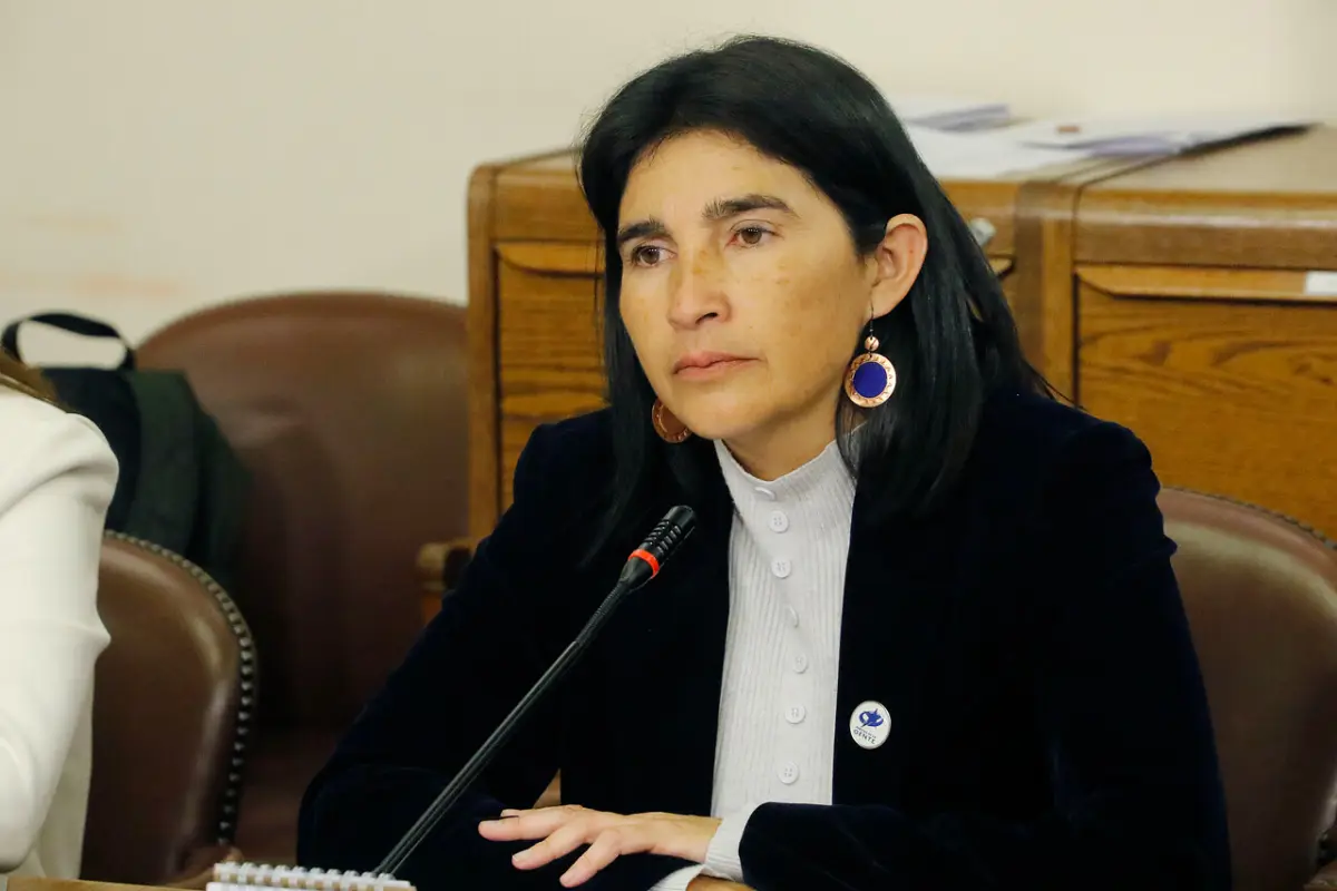 Diputada Ahumada,