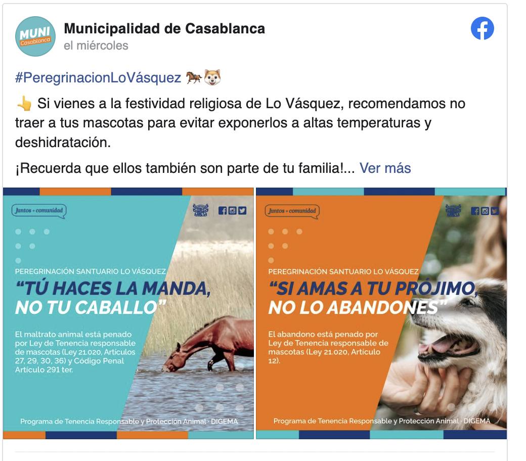 La campaña de Casablanca no dio efecto en quienes maltrataron a la pobre yegua.