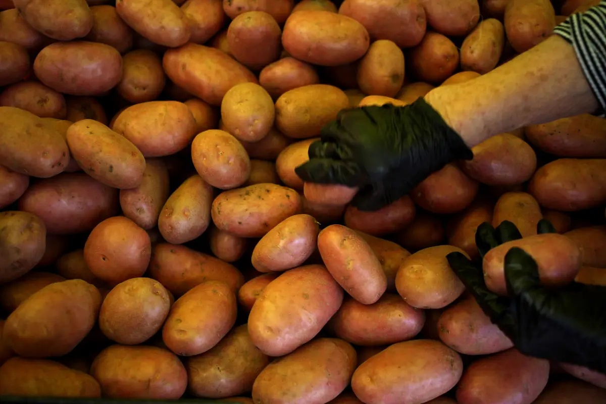 Papas, (Agencia Uno)