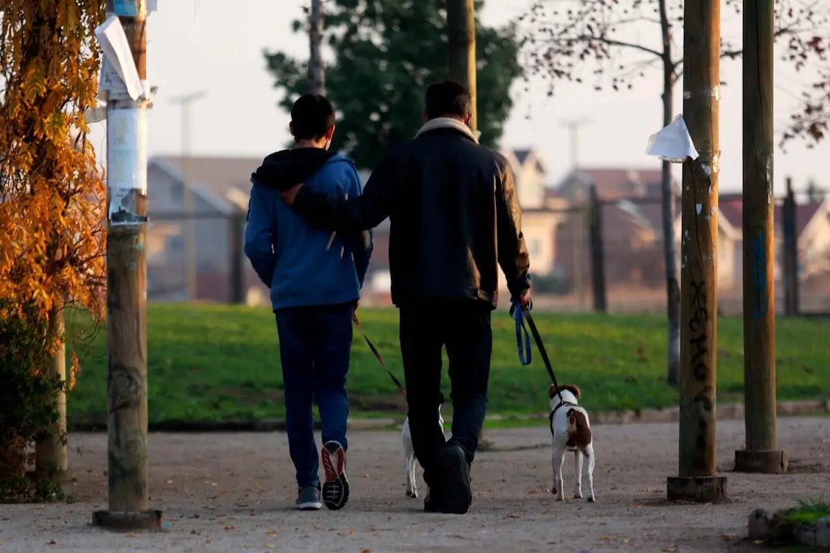 Pensión de alimentos